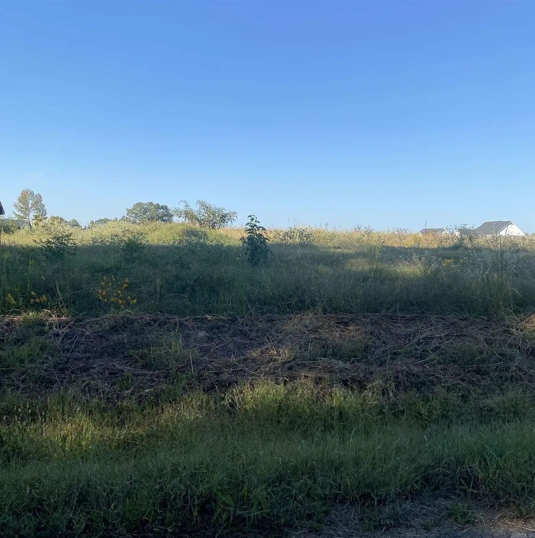 Lots & Land-Other in Greenbrier - Greenbrier, Arkansas, 72058