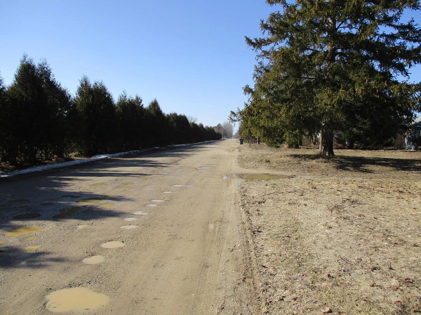 Vacant Land in Grand Junction - Grand Junction, Michigan, 49056