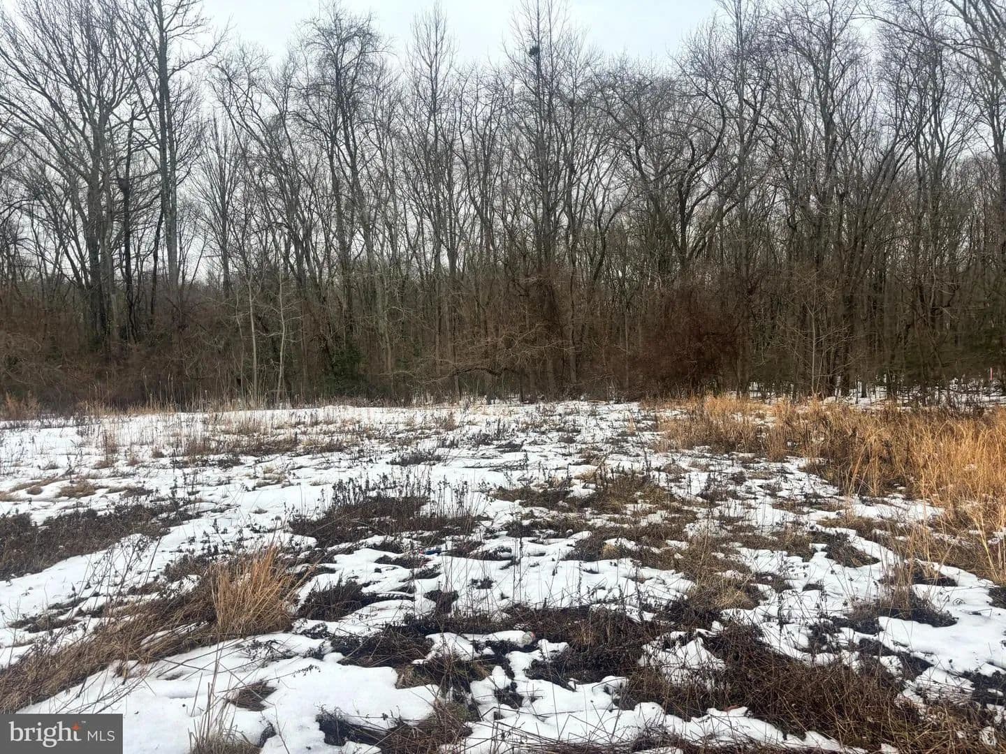 Vacant Land in Glassboro - Glassboro, New Jersey, 08028