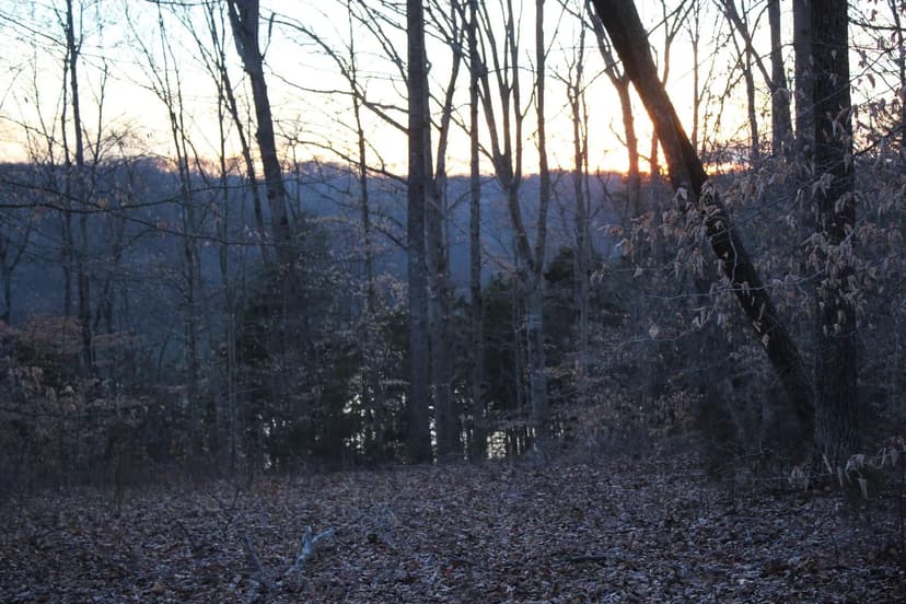 Land -Single Family Acreage in Jamestown