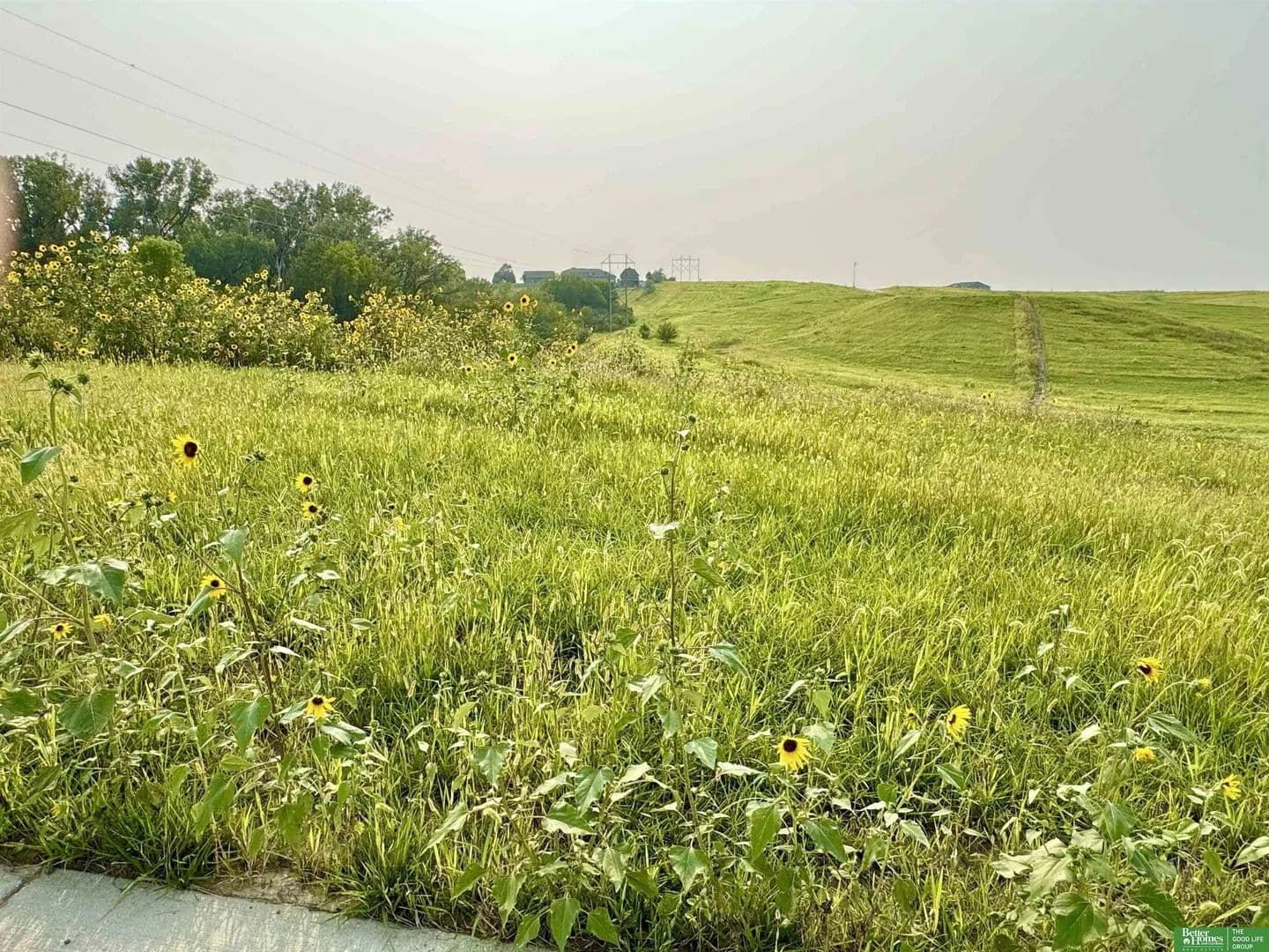 Lots & Land-Other in Gretna - Gretna, Nebraska, 68028