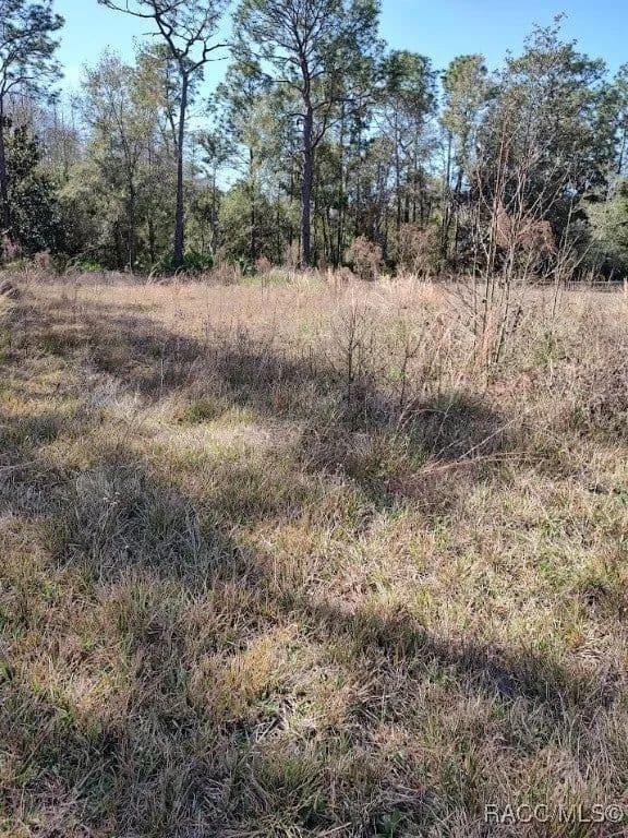Lots & Land-Other in Homosassa - Homosassa, Florida, 34448