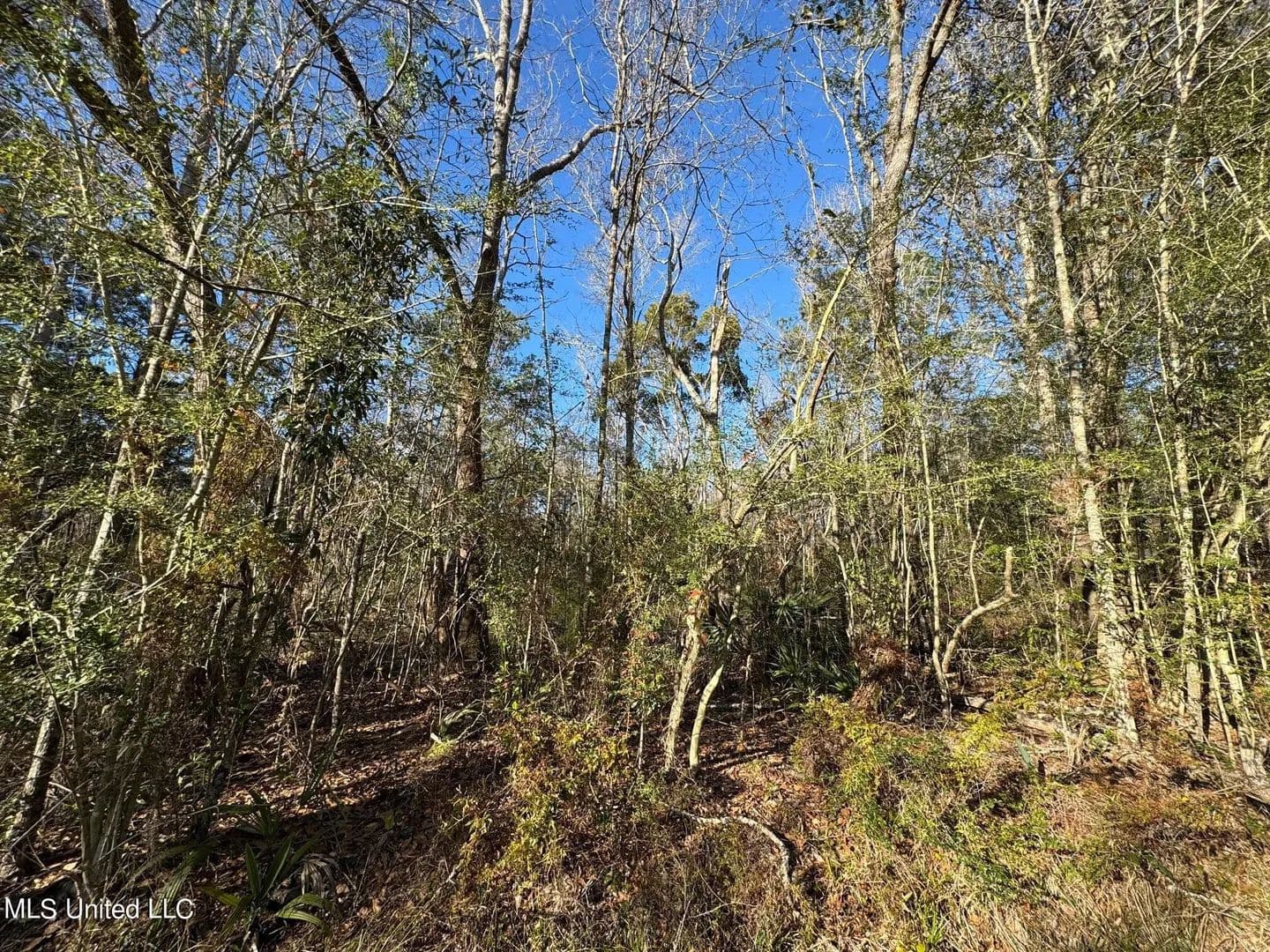 Lots & Land-Other in Moss Point - Moss Point, Mississippi, 39563