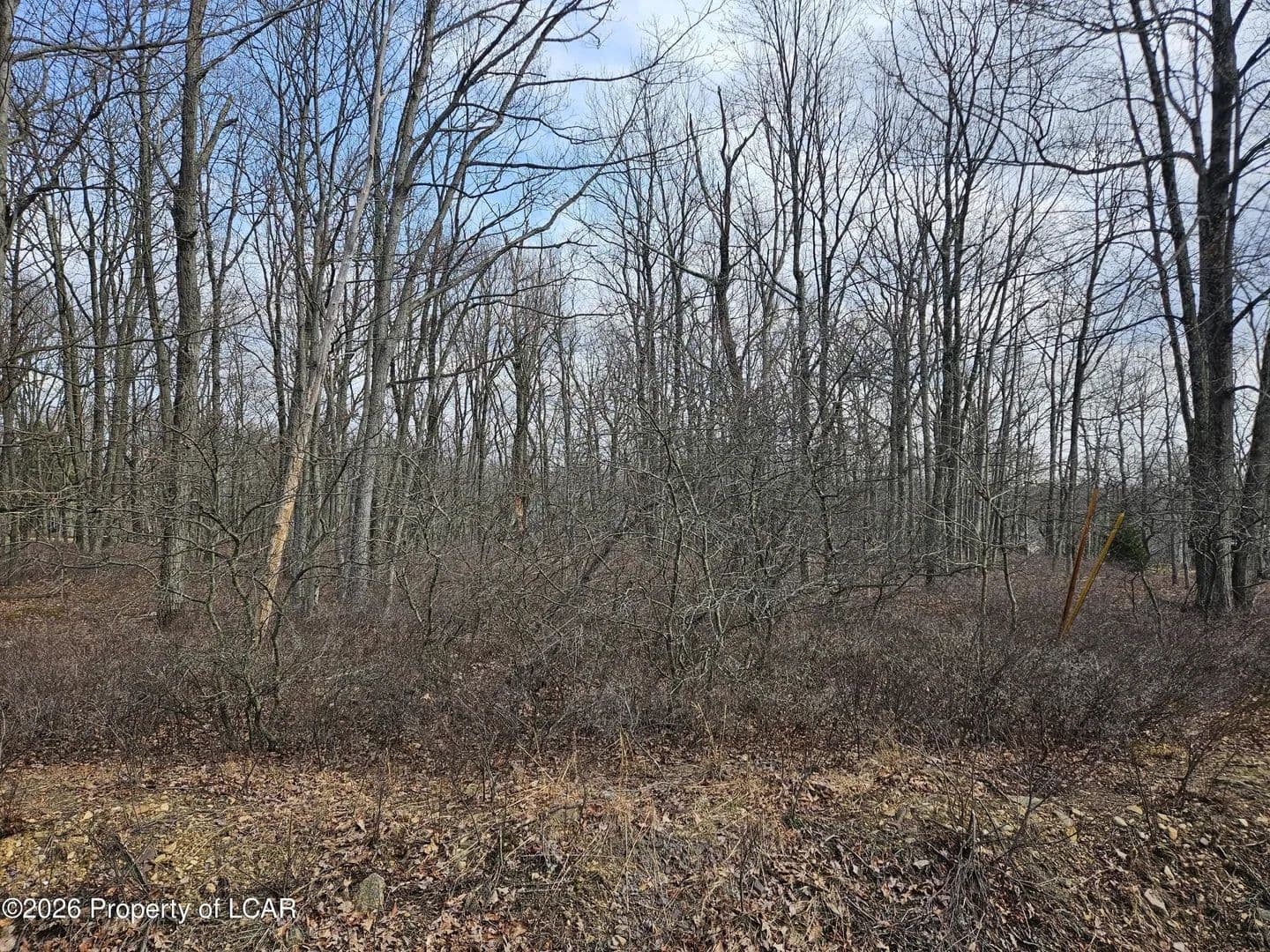 Lots & Land-Other in Hazleton - Hazleton, Pennsylvania, 18202