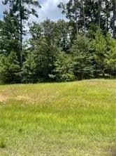 Lots & Land-Other in Boyce - Boyce, Louisiana, 71409