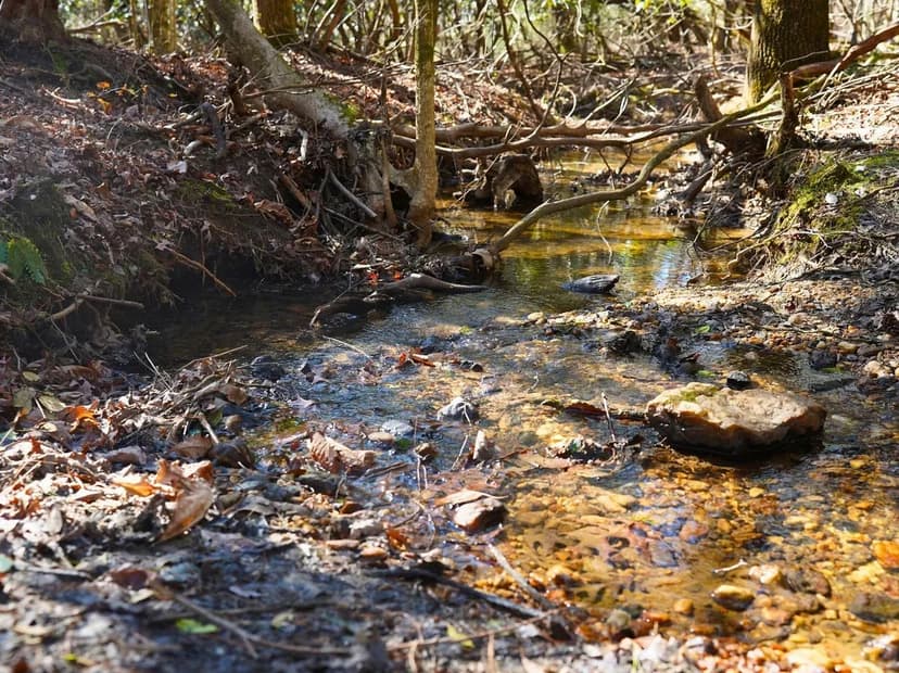 Flagstone Serenity: 3+/- Wooded, Creekside Acres Near Yadkin Valley Wine Region