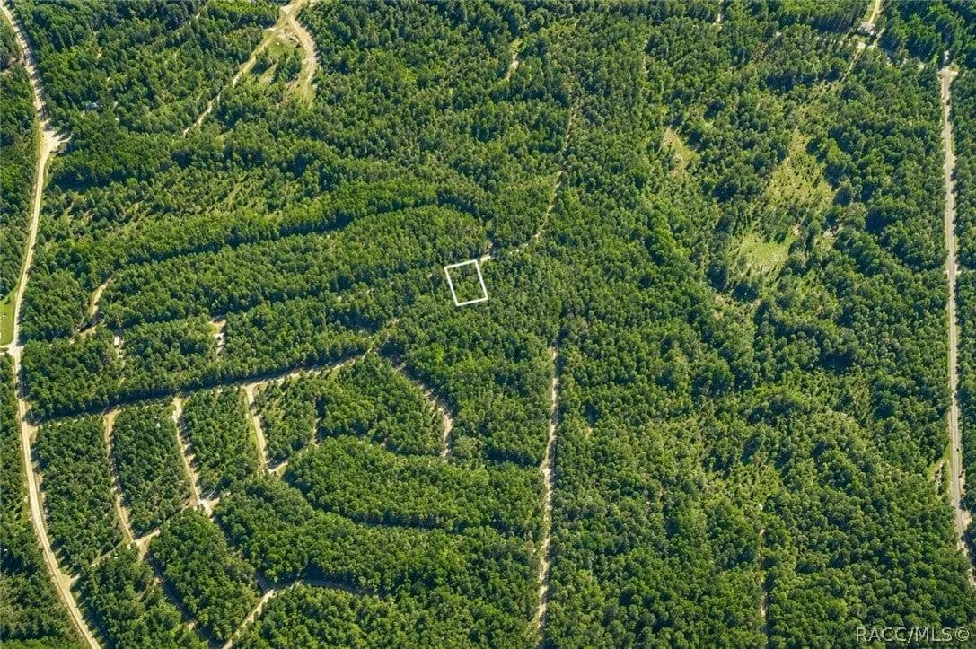 Lots & Land-Other in Dunnellon - Dunnellon, Florida, 34434