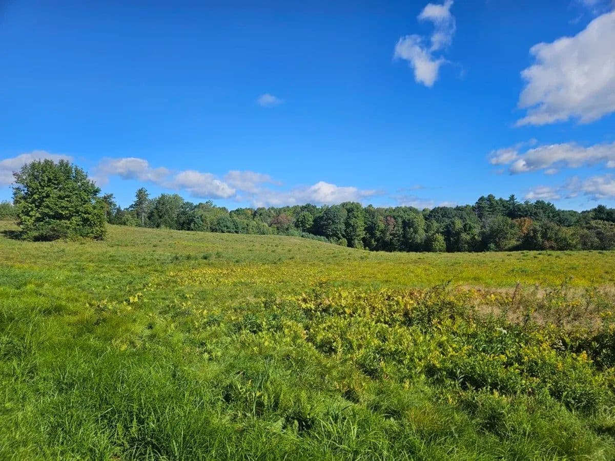 Auburn, 265 Sopers Mill Road - 56 acres - Auburn, Maine, 04210