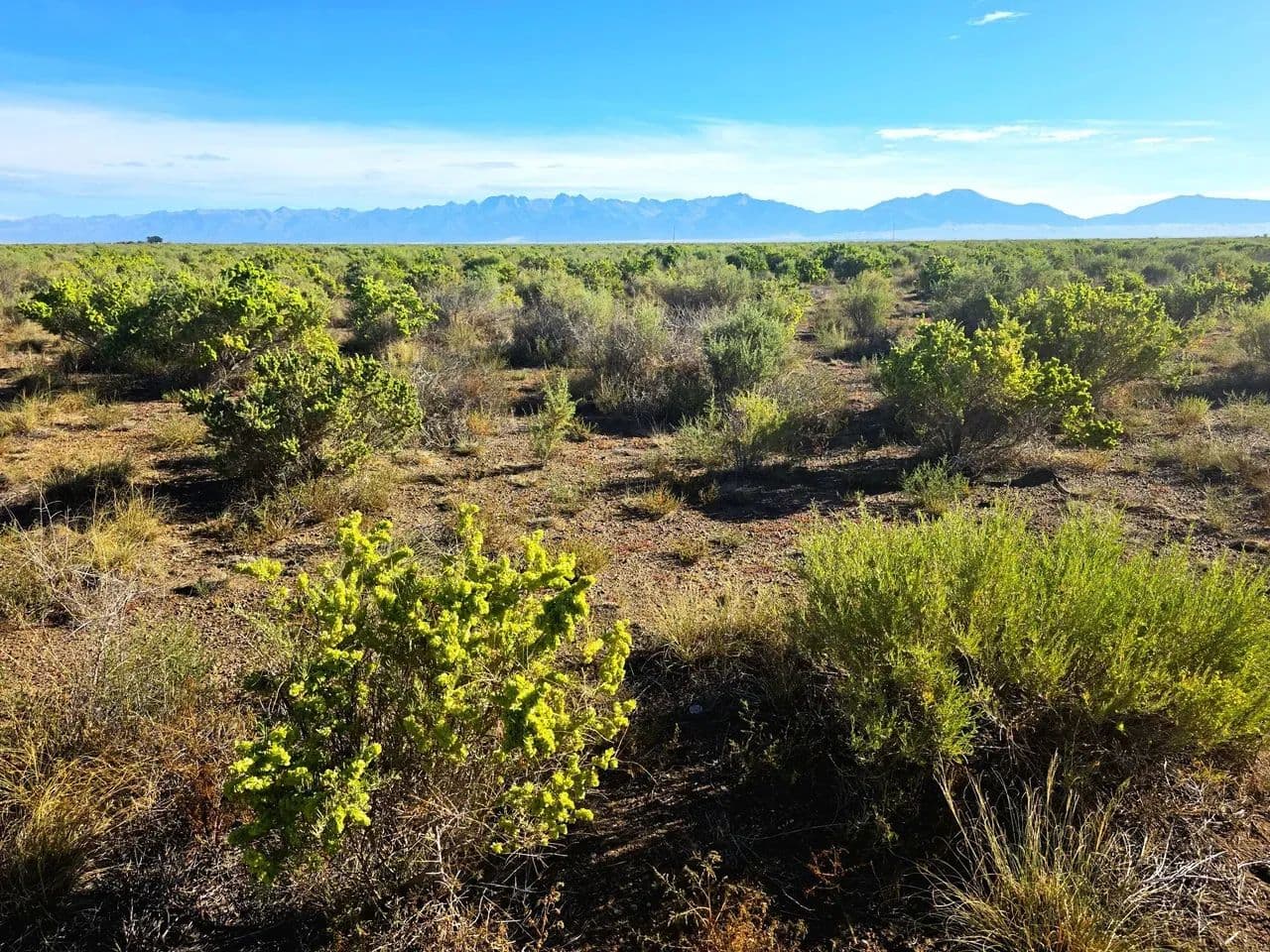 CRP Parcel with Paved Road Frontage & Close Proximity to Great Sand Dunes National Park - Mosca, Colorado, 81146