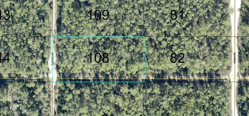 Vacant Land in Hastings - Hastings, Florida, 32145