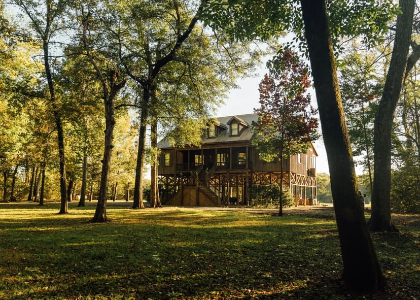 One Equity Share at Miller Point Timber Company, LLC in Coahoma County, MS / Phillips County, AR