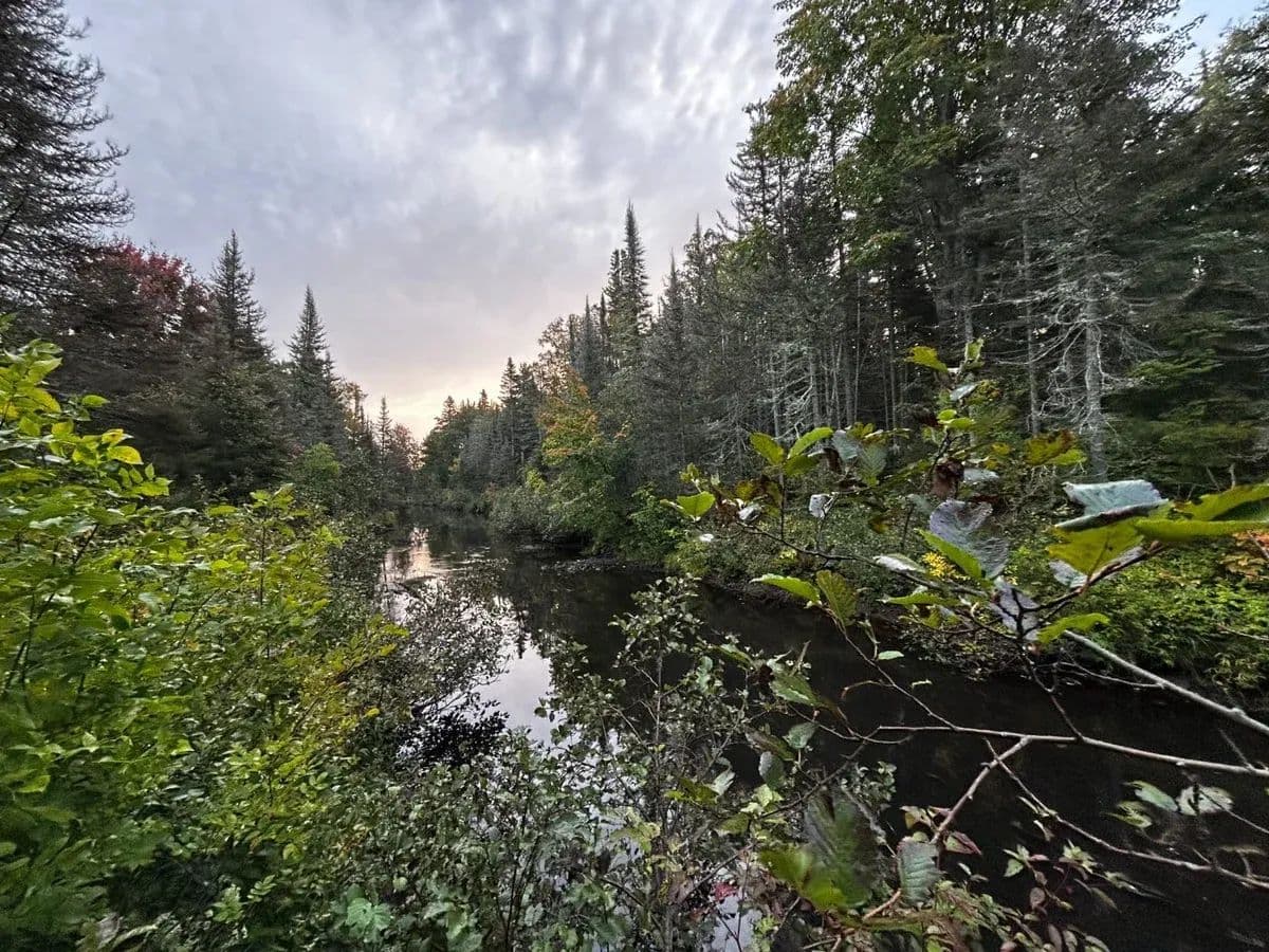Potato Patch Road - West Lot - Gay, Michigan, 49945