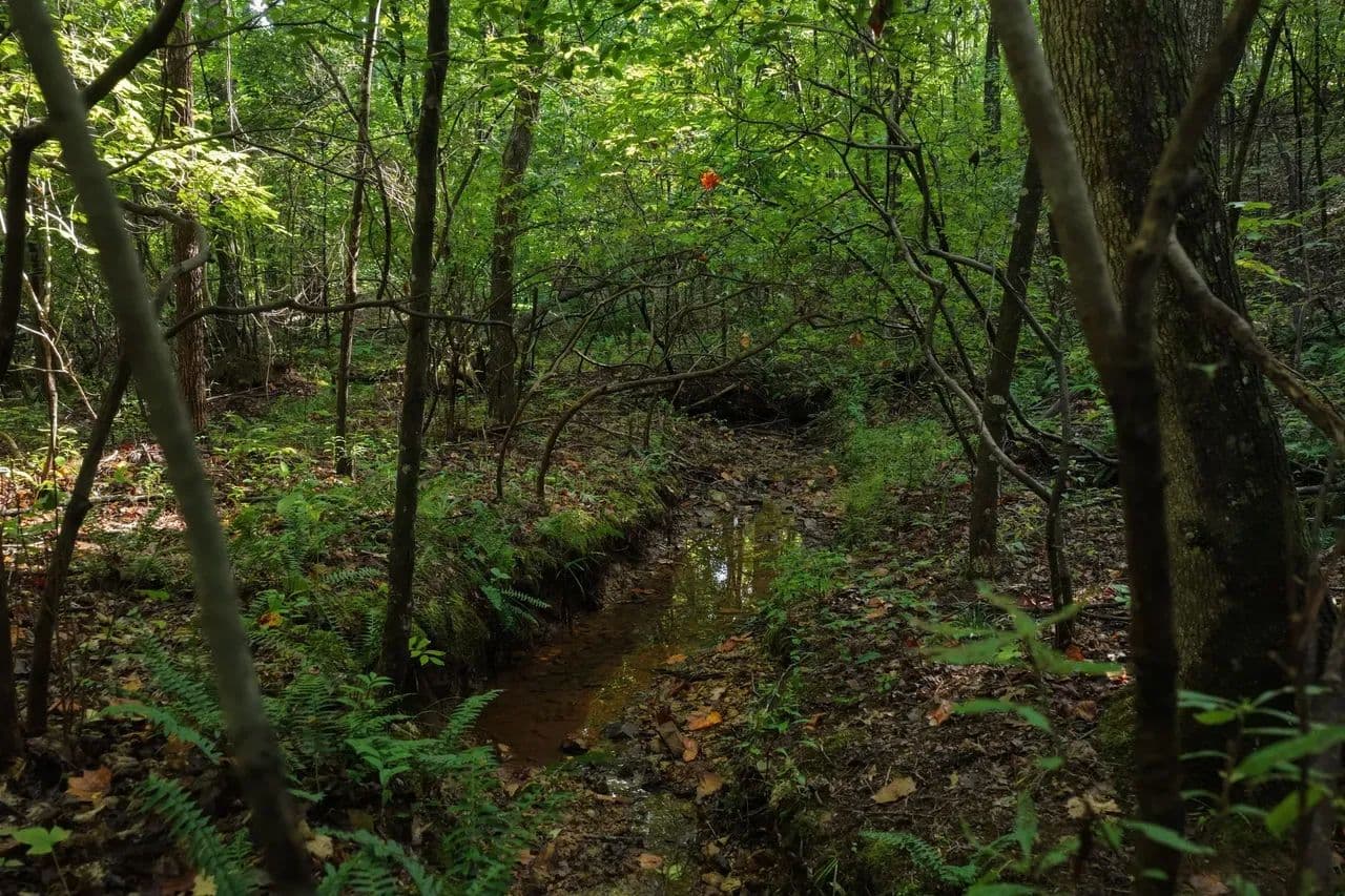 Benton Tract 14 - Holladay, Tennessee, 38341