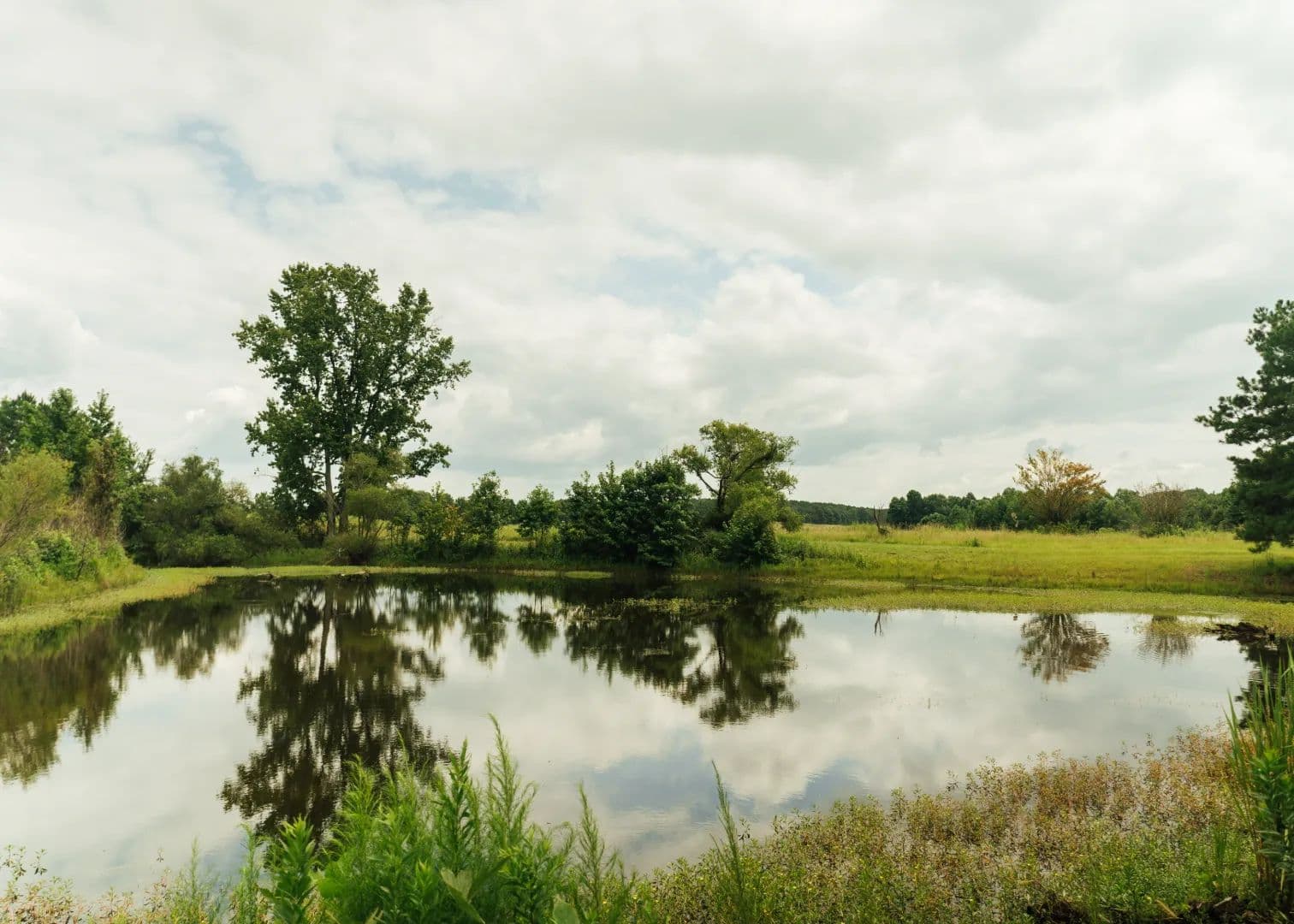 110 Acres in Winston County, MS  - Louisville, Mississippi, 39339