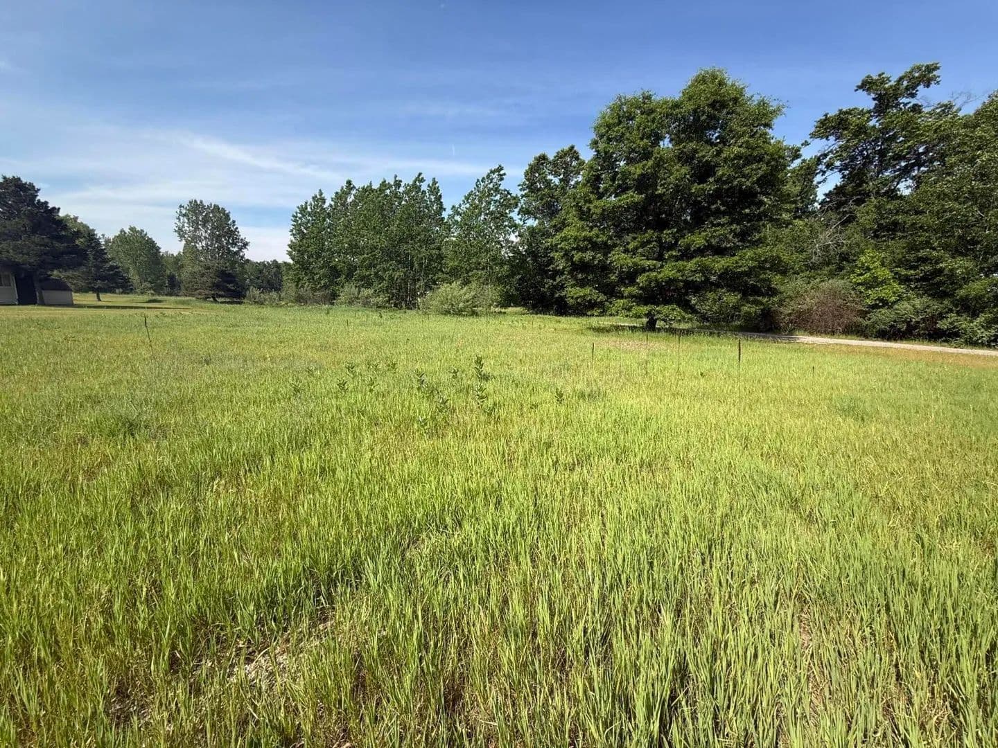 Property from W Royal Road #Lot D - KW - Stanwood, Michigan, 49346
