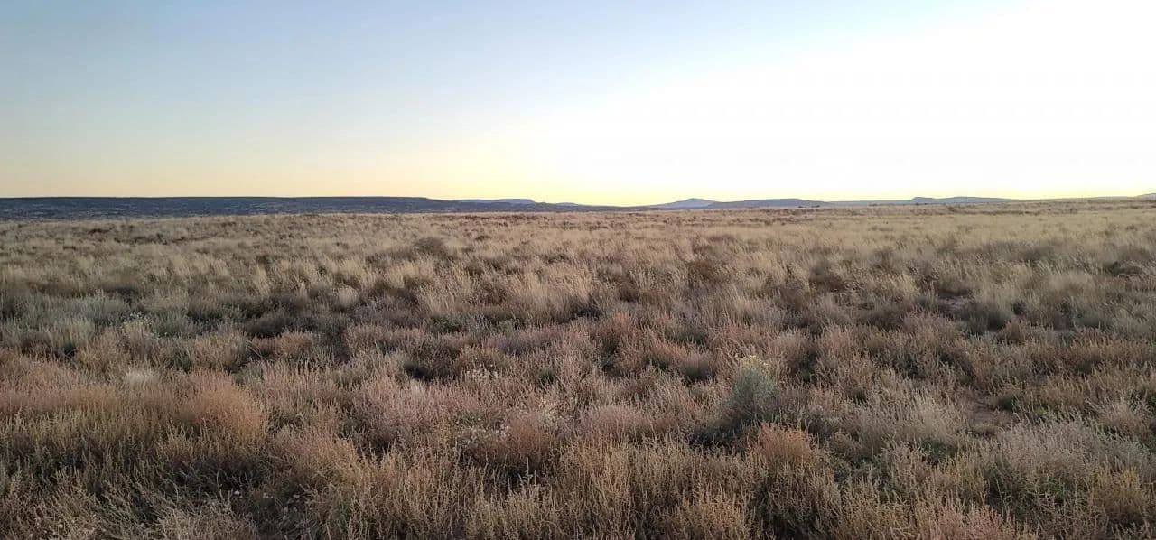 Land -Single Family Acreage in Laguna - Laguna, New Mexico, 87026