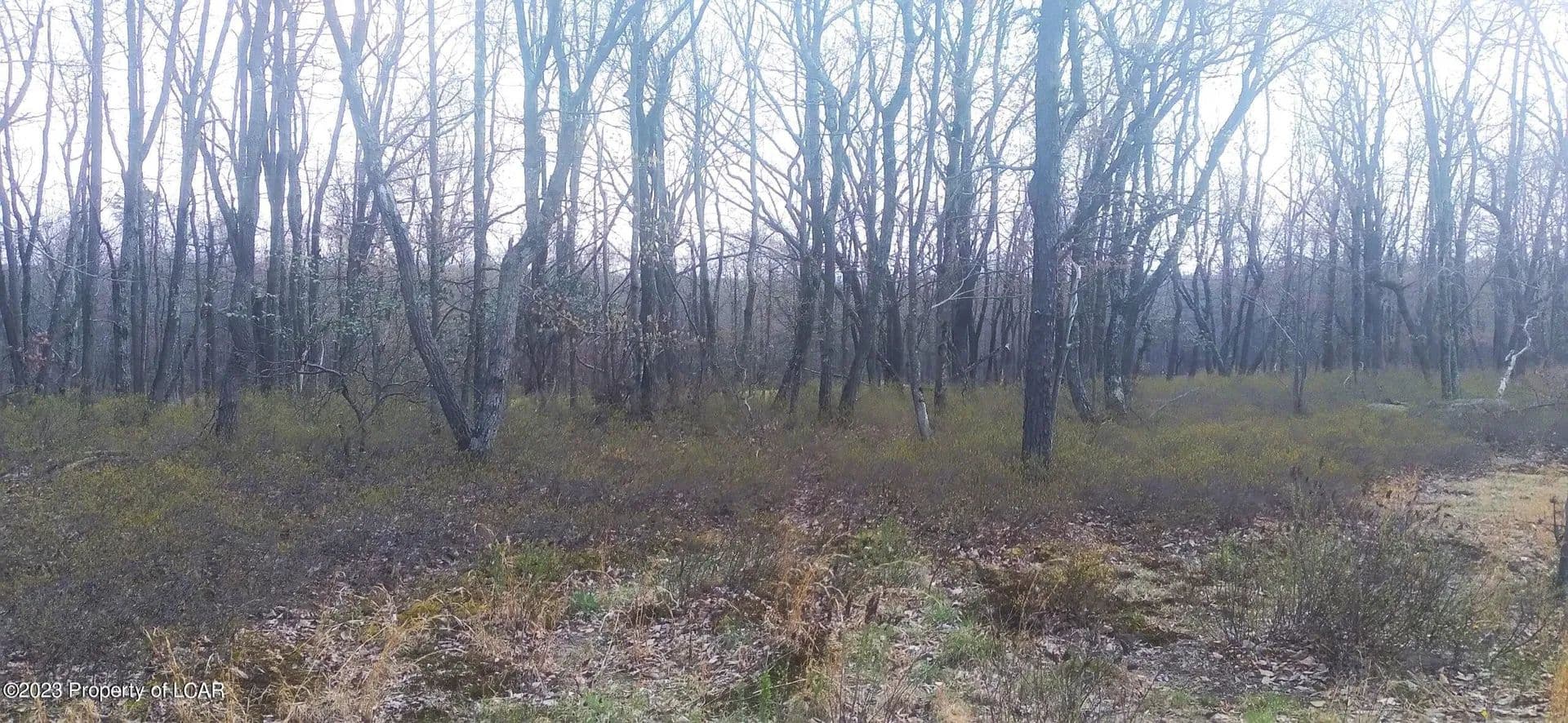 Lots & Land-Other in Hazle Twp - Pennsylvania, 18202