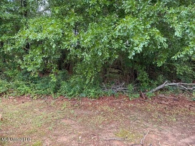 Property from 000 W Norwood/Old Enoch Road - KW - Florence, Mississippi, 39073