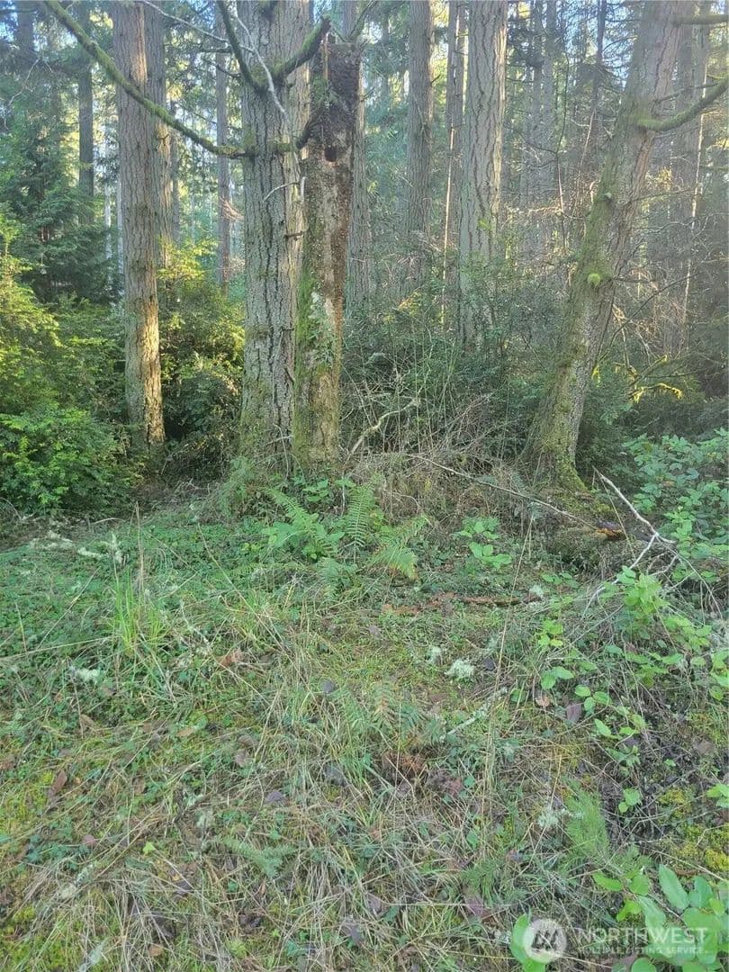 Vacant Land in Anderson Island - Anderson Island, Washington, 98303