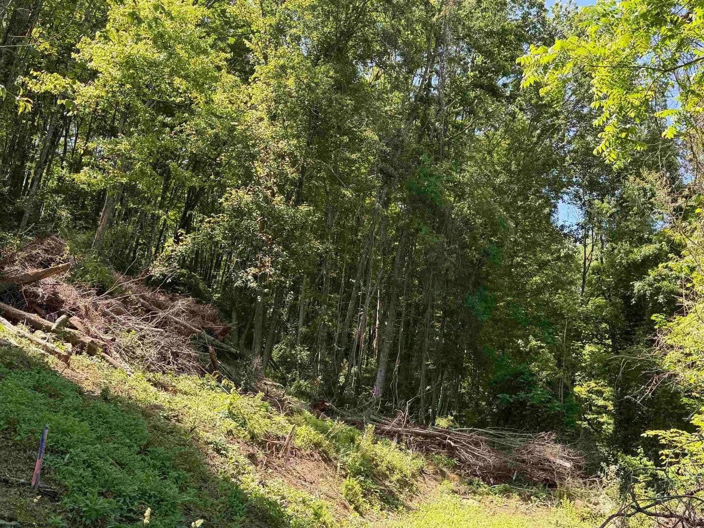 Property from TBD Sandy Drive - KW - land for sale