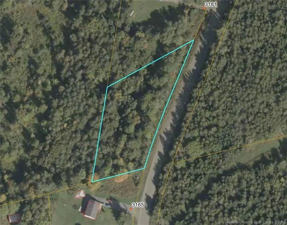 Land for Sale in Mckenzie Corner, NB - land for sale
