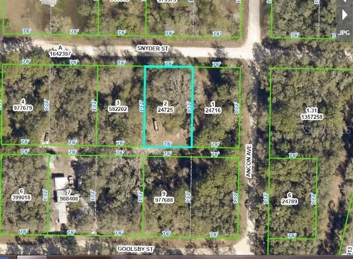 Vacant Land in Webster - Webster, Florida, 33597