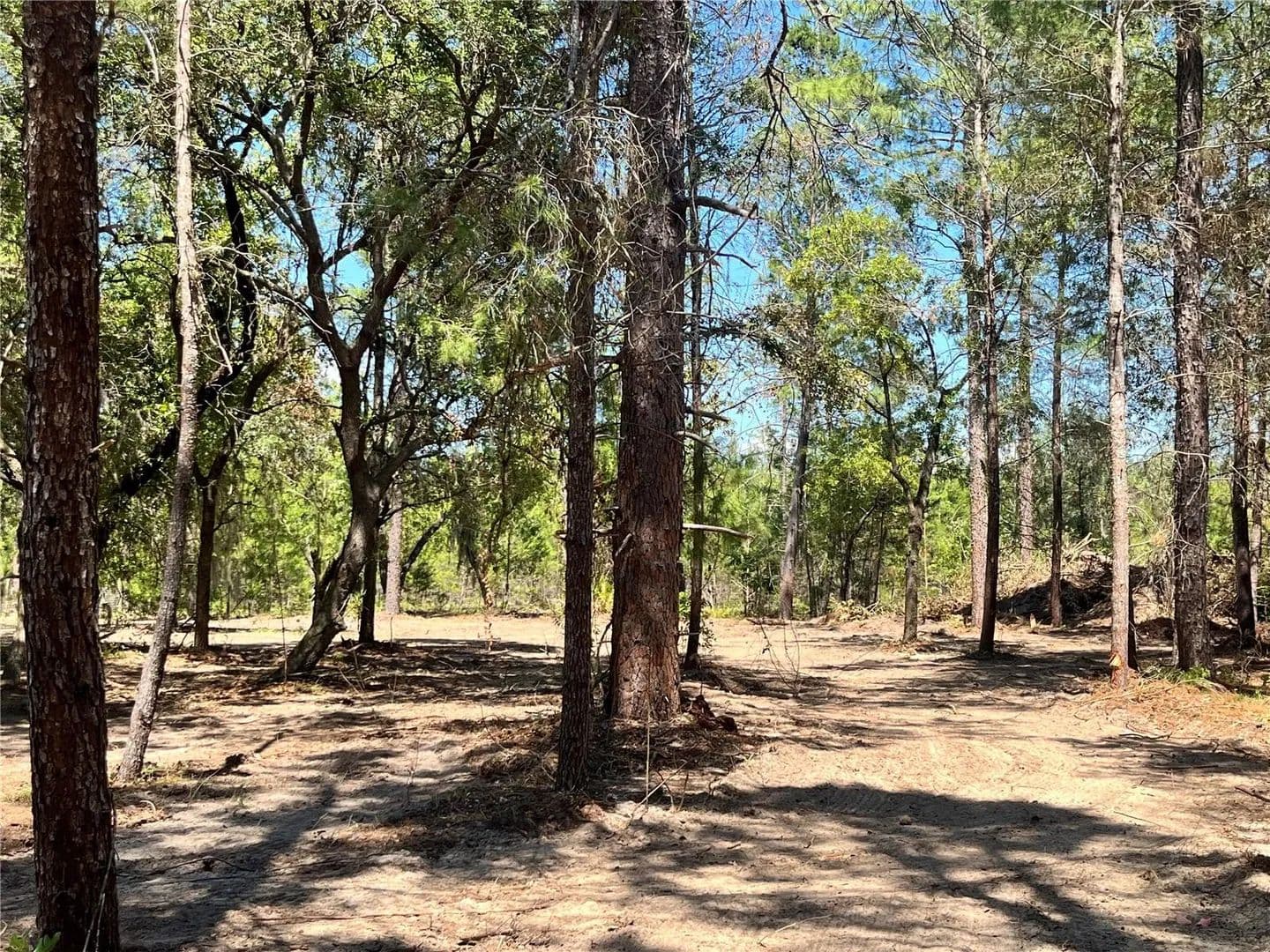 Property from 219 MAGNOLIA ROAD - KW - Hawthorne, Florida, 32640