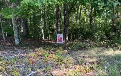 Lots & Land-Other in Ellijay - Ellijay, Georgia, 30540