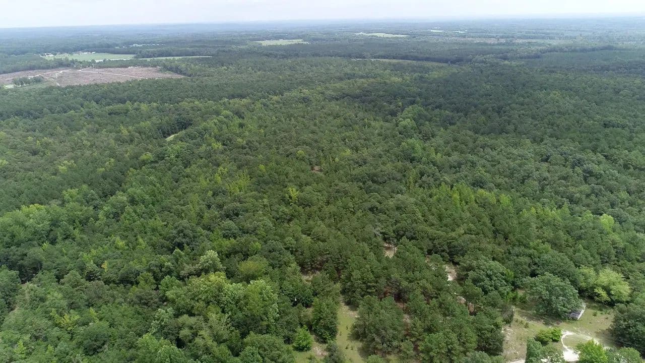 Young Circle Farm - Kershaw, South Carolina, 29067