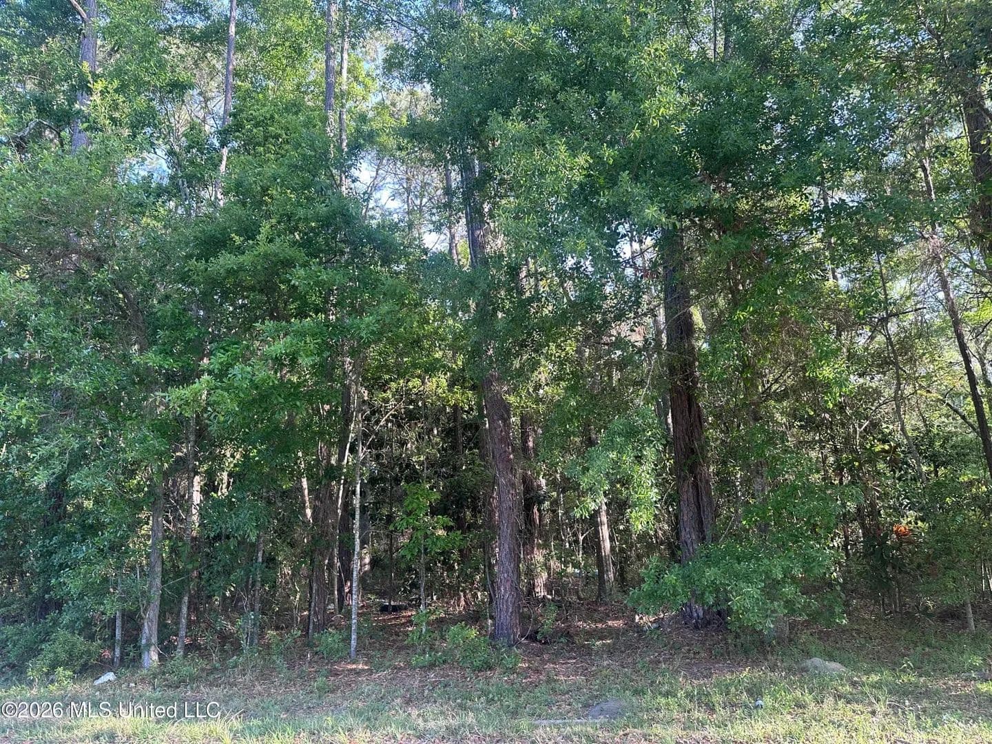 Vacant Land in Moss Point - Moss Point, Mississippi, 39563