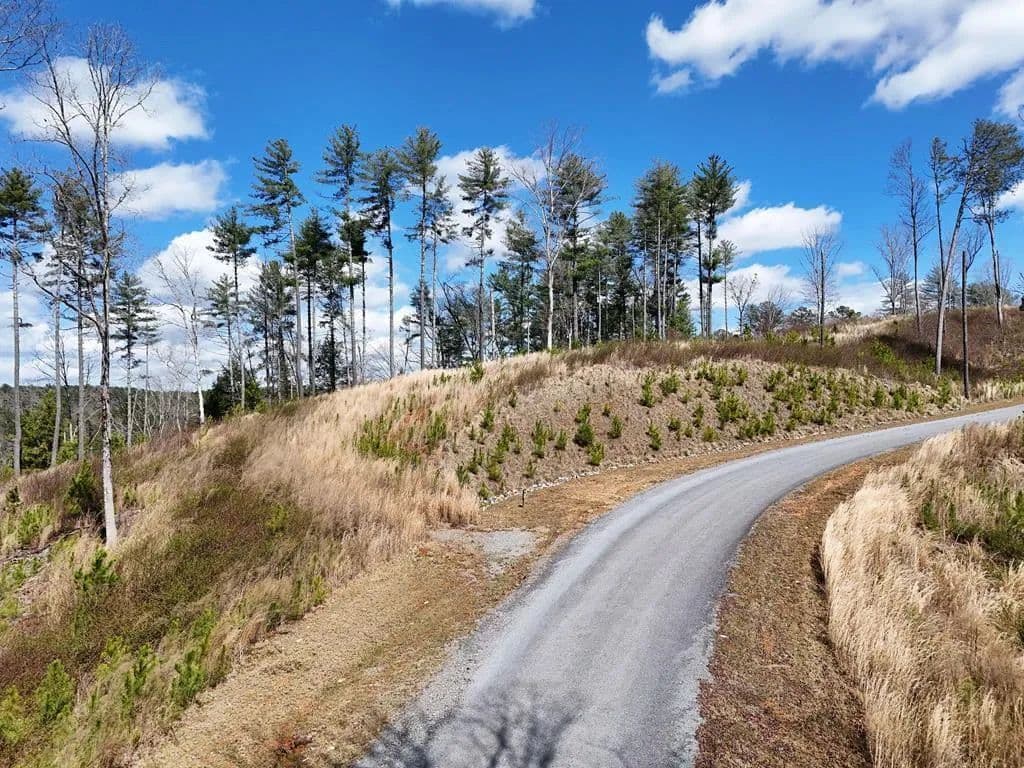 Lots & Land-Other in Ellijay - Ellijay, Georgia, 30540