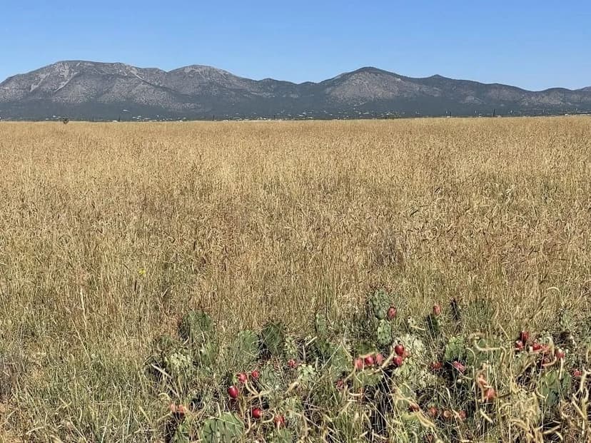 Land -Single Family Acreage in Edgewood