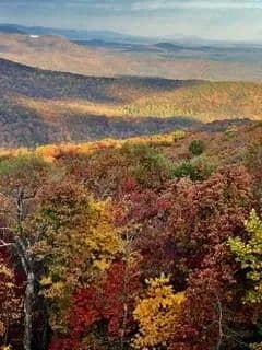 Vacant Land in Jasper