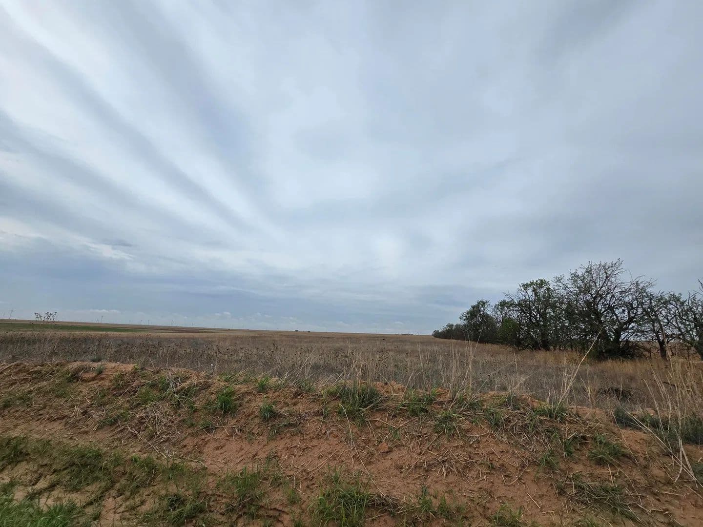 Lots & Land-Other in Hale Center - Hale Center, Texas, 79041