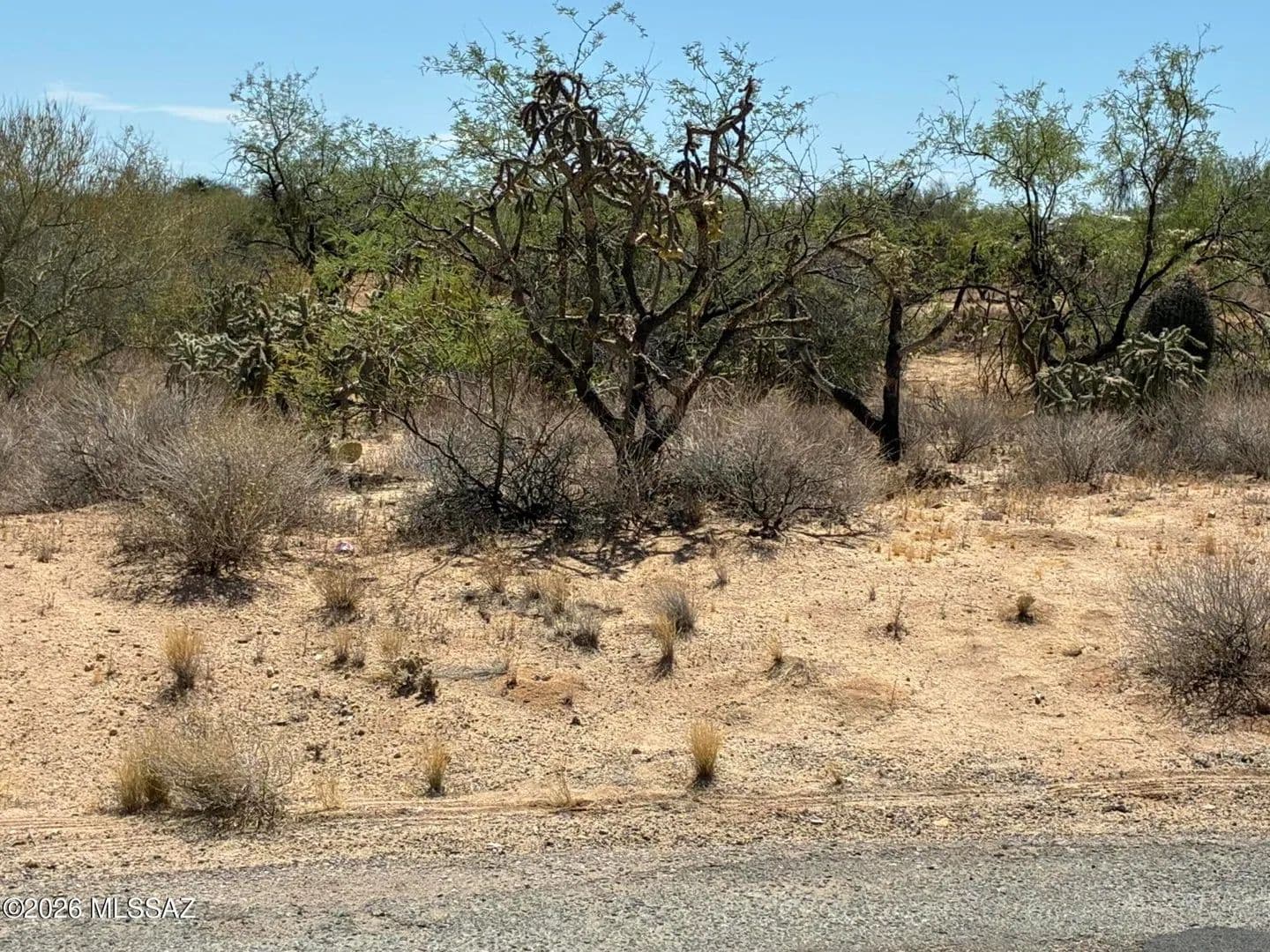 1.02 Acres of Land for Sale in Tucson, Arizona - Tucson, Arizona, 85736