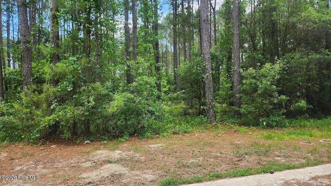 Property from 485 Swatara Street SE - KW - Bolivia, North Carolina, 28422