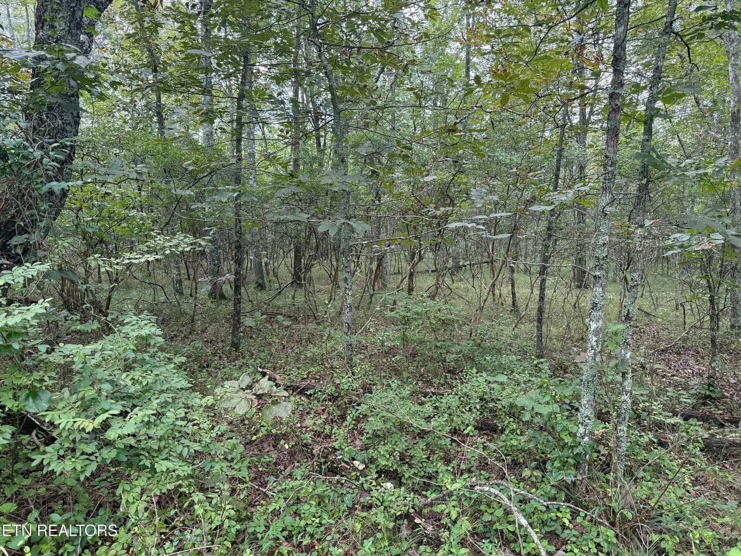 Lots & Land-Other in Crossville - Crossville, Tennessee, 38558