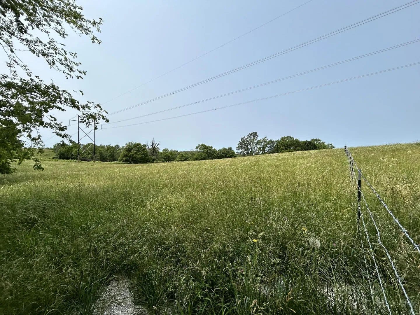 Lots & Land-Other in Springfield - Springfield, Missouri, 65802