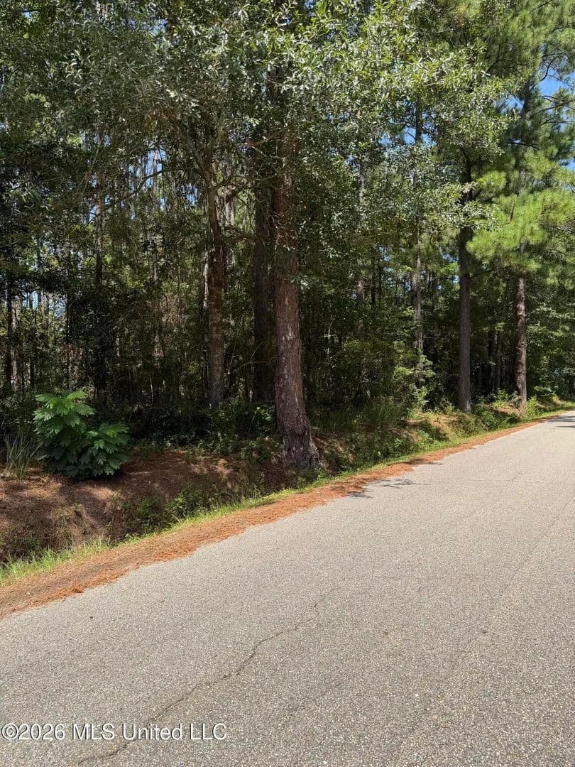 Vacant Land in Bay Saint Louis - Bay Saint Louis, Mississippi, 39520