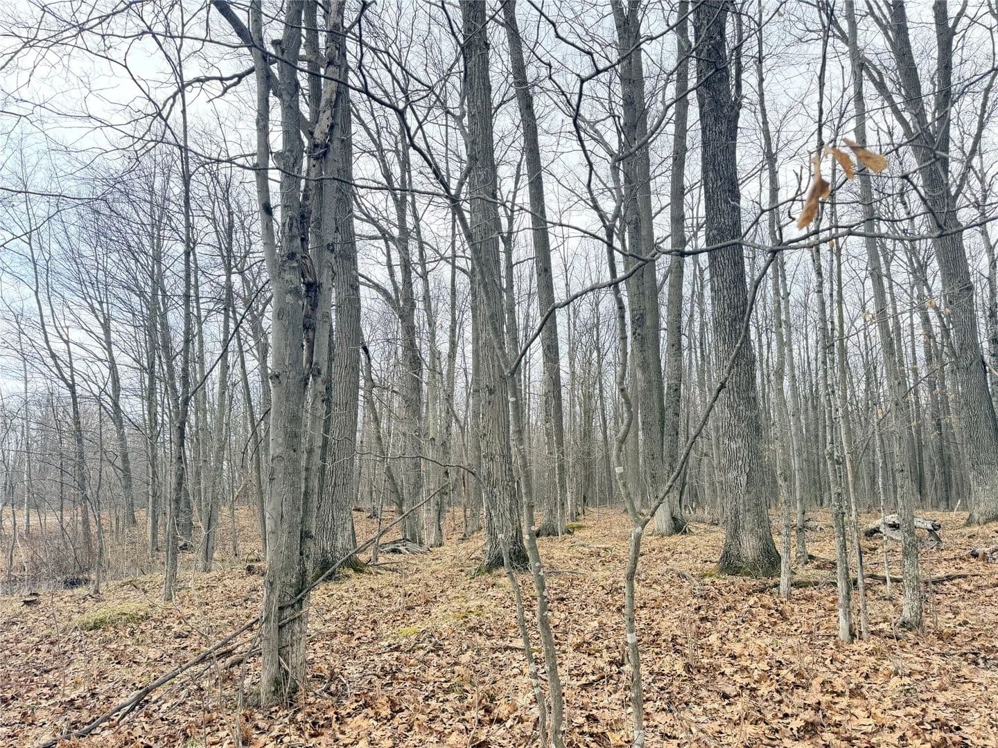 10 Acres of Land for Sale in Glen Flora, Wisconsin - Glen Flora, Wisconsin, 54526