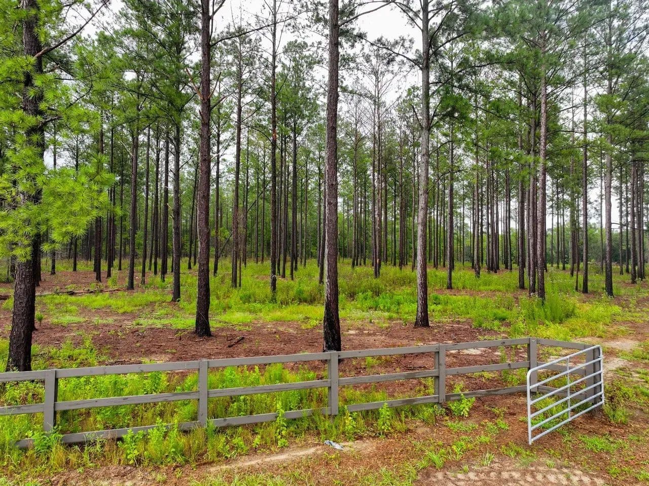 1 Acre Parcel minutes from Auburn City Limits Pine Ridge lot 12 - Auburn, Alabama, 36830