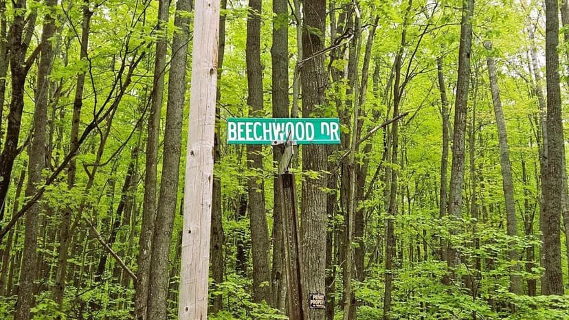 Lots & Land-Other in Roscommon