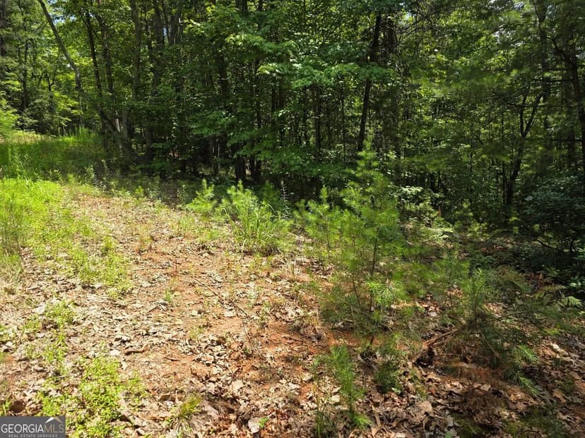 Lots & Land-Other in Sautee Nacoochee