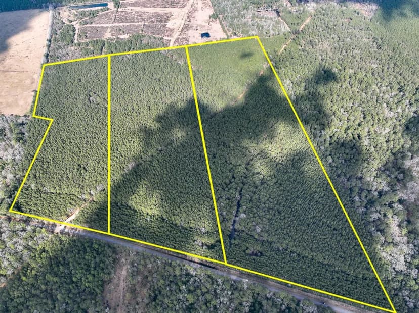 33 Acres | T-2 | Laird Road | 01528