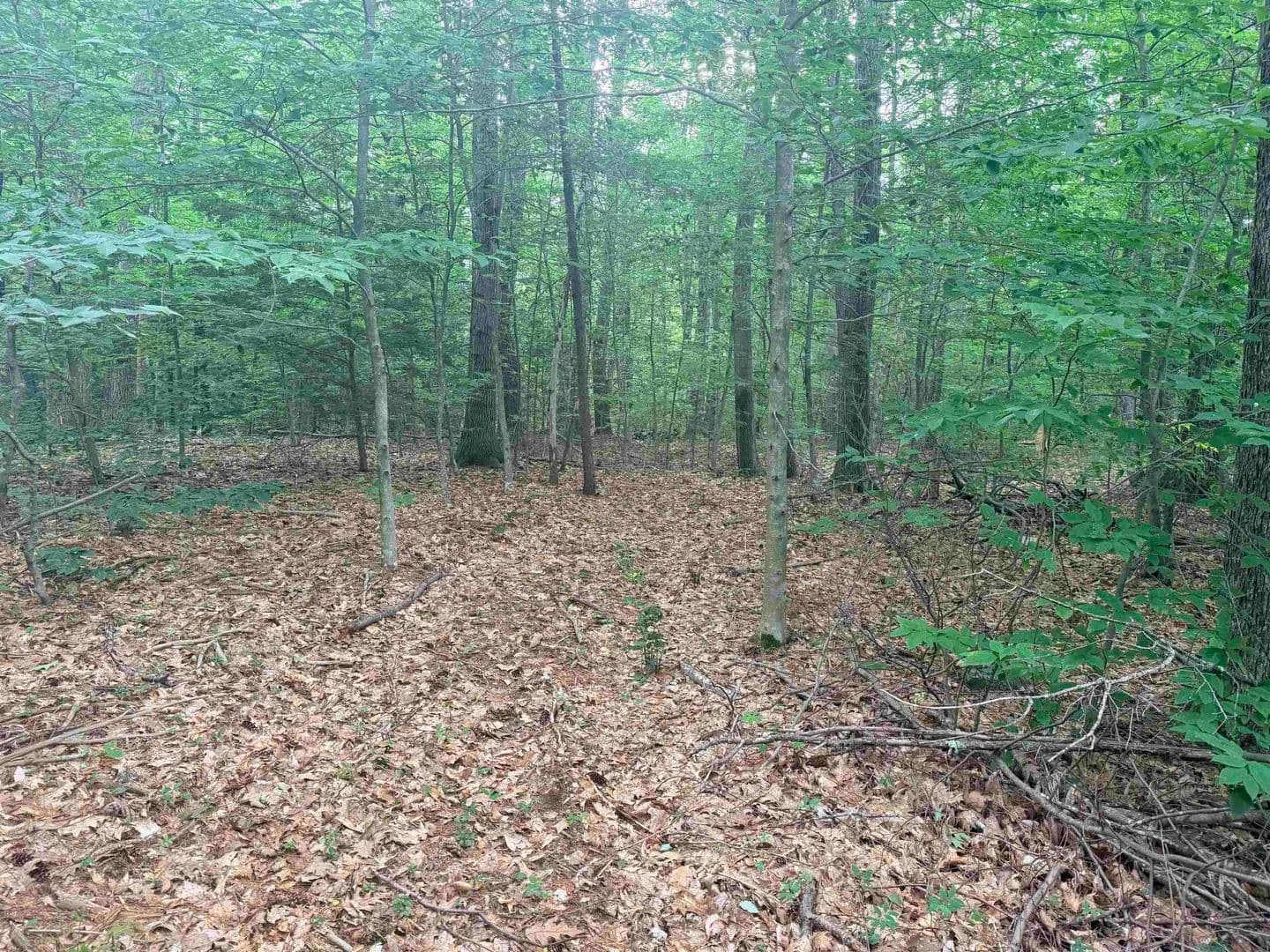 Vacant Land in Canterbury - Canterbury, New Hampshire, 03224