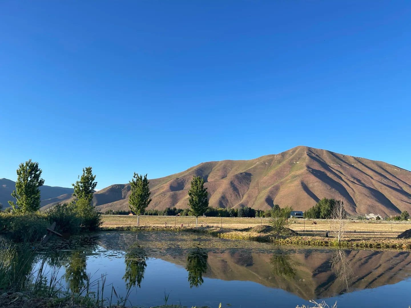 Vacant Land in Blaine County - Idaho, 83313