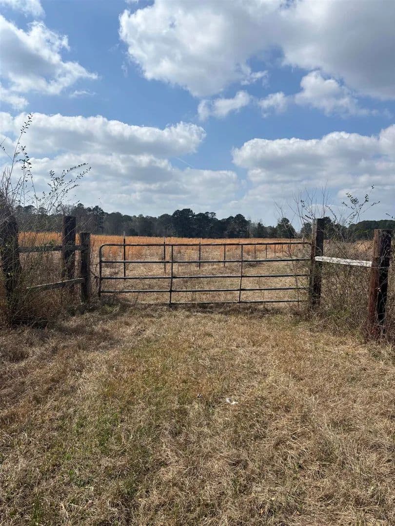 Vacant Land in Karnack - Karnack, Texas, 75661