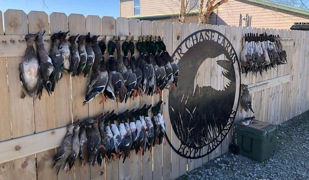 River Chase Farms (EQUITY SHARE) - Egypt, Arkansas, 72427