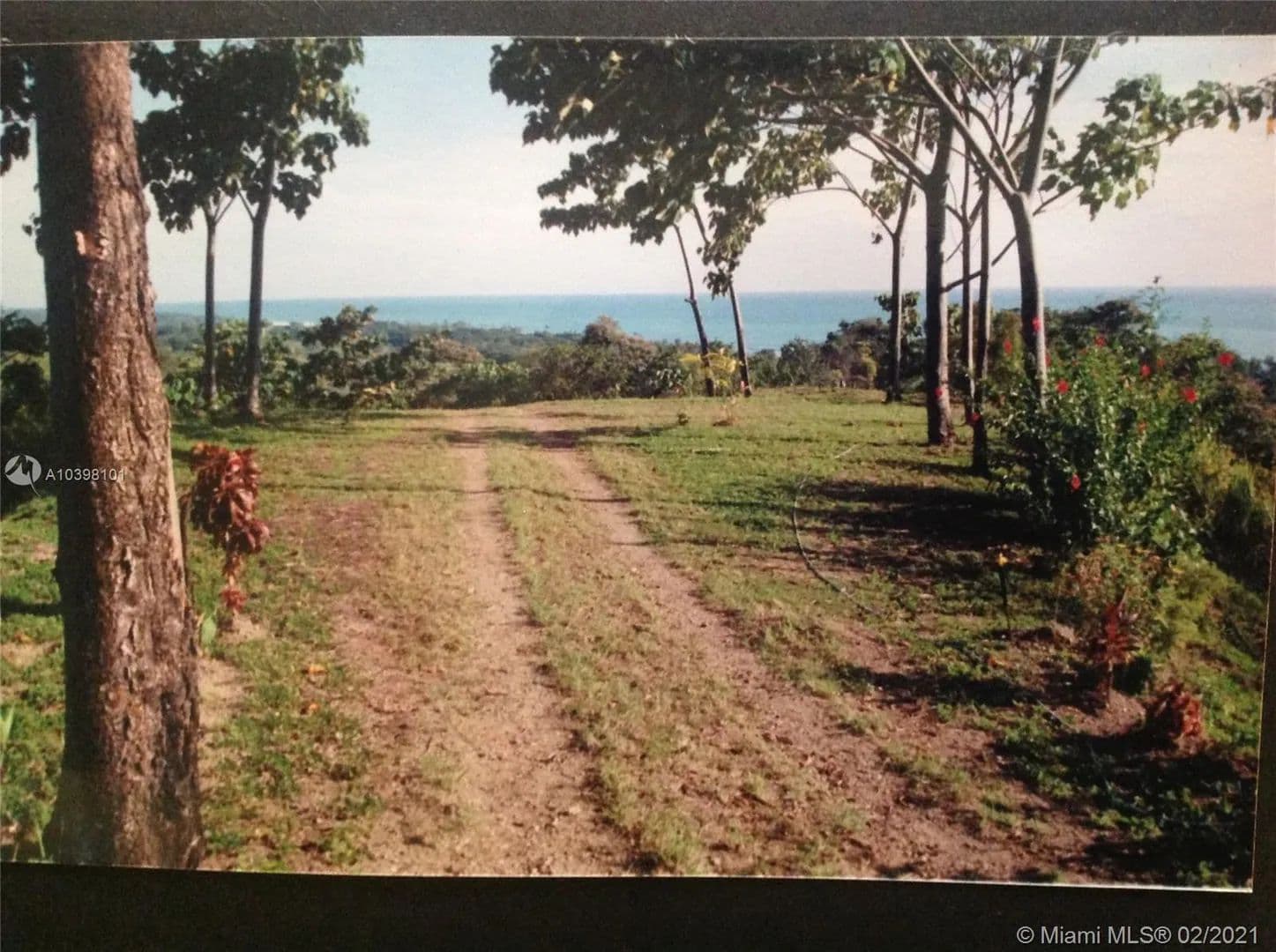 5.9 Acres of Land for Sale in Other County, FL in Florida - photo 27