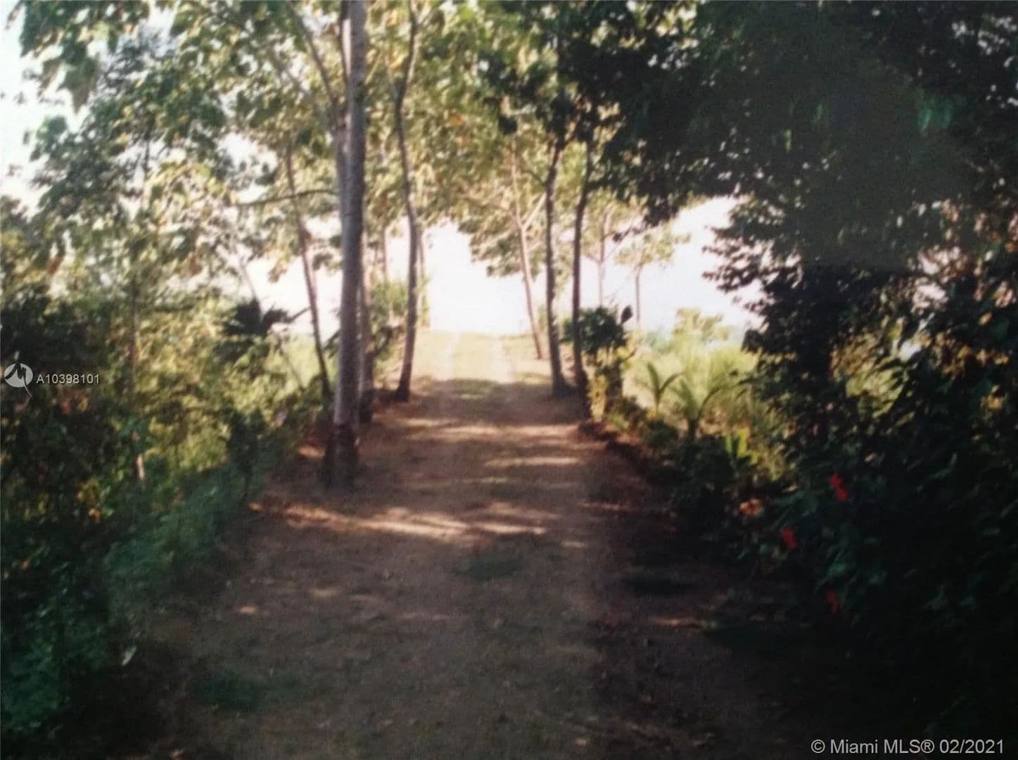 5.9 Acres of Land for Sale in Other County, FL in Florida - photo 29